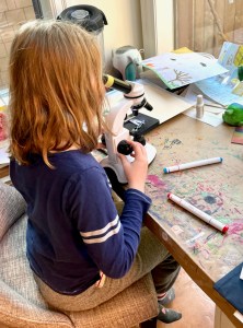 Beatrix sitting in the studio looking into a microscope. The optics of the microscope are focused on the blades of a pair of craft scissors.